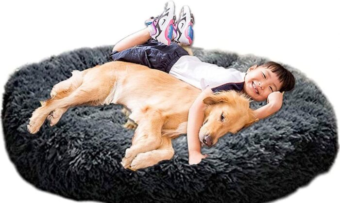 Un enfant avec son chien reposant sur un coussin à mémoire de forme