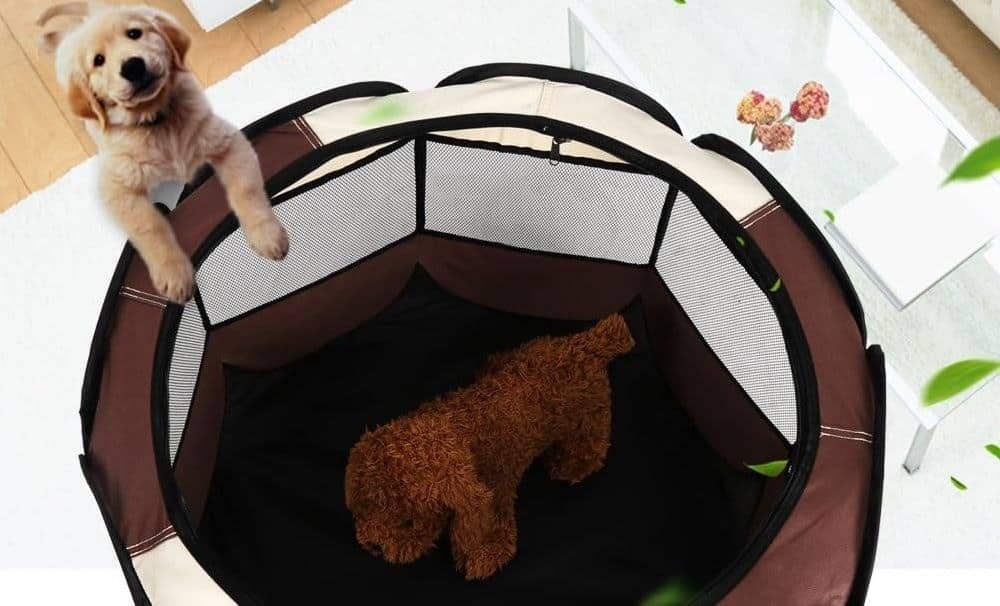 Parc à chien : Guide d'achat, prix et avis