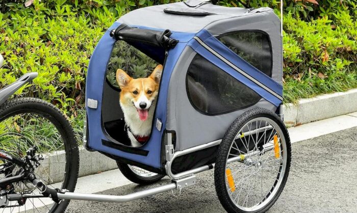 Un chien dans une remorque du vélo électrique